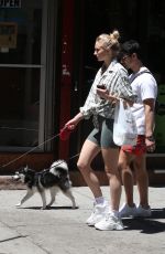 SOPHIE TURNER and Joe Jonas Out with Their Dogs in New York 05/18/2019