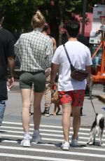 SOPHIE TURNER and Joe Jonas Out with Their Dogs in New York 05/18/2019