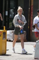 SOPHIE TURNER and Joe Jonas Out with Their Dogs in New York 05/18/2019