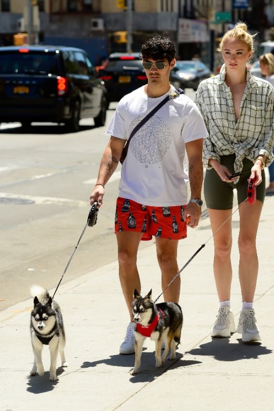 SOPHIE TURNER and Joe Jonas Out with Their Dogs in New York 05/18/2019