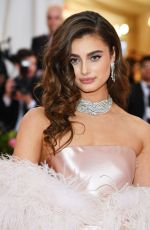 TAYLOR HILL at 2019 Met Gala in New York 05/06/2019