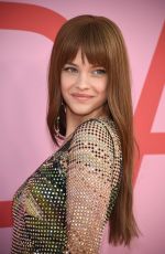 BARBARA PALVIN at CFDA Fashion Awards in New York 06/03/2019