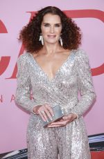 BROOKE SHIELDS at CFDA Fashion Awards in New York 06/03/2019