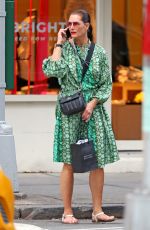BROOKE SHIELDS Out Shopping in New York 06/07/2019
