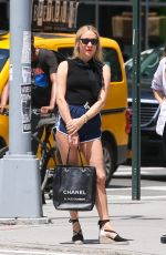 CHLOE SEVIGNY in Shorts Out in New York 06/09/2019