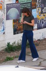 DAKOTA JOHNSON Out and About in Los Angeles 06/06/2019