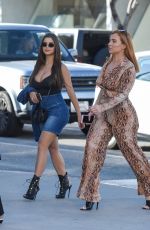 DEMI ROSE MAWBY Out for Lunch in Beverly Hills 06/09/2019