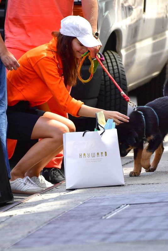 EMILY RATAJKOWSKI Drop off Their Dog at Vet in New York 06/12/2019