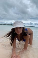 EMILY RATAJKOWSKI in Bikini - Instagram Pictures 06/16/2019