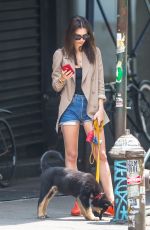 EMILY RATAJKOWSKI in Denim Shorts Out with Her Dog in New York 06/05/2019