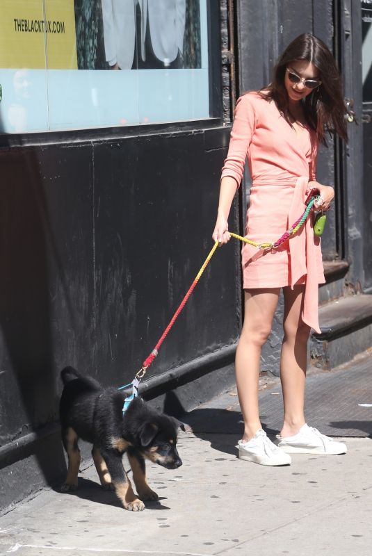 EMILY RATAJKOWSKI Out with Heer Dog Colombo in New York 06/11/2019