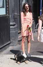 EMILY RATAJKOWSKI Out with Heer Dog Colombo in New York 06/11/2019