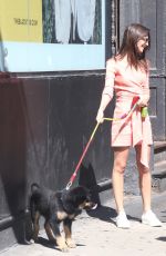 EMILY RATAJKOWSKI Out with Heer Dog Colombo in New York 06/11/2019