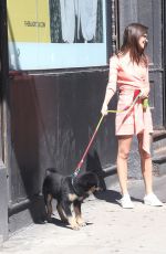 EMILY RATAJKOWSKI Out with Heer Dog Colombo in New York 06/11/2019
