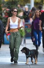 EMILY RATAJKOWSKI Out with Her Dog Colombo in New York 06/20/2019