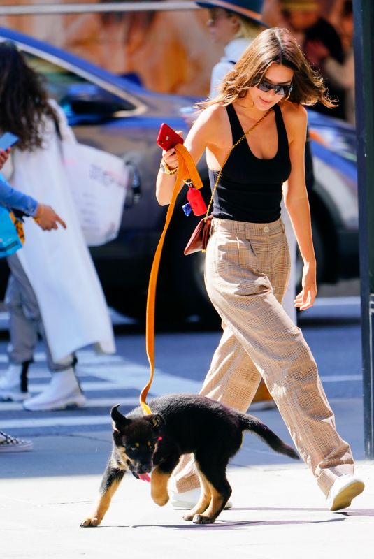 EMILY RATAJKOWSKI Out with Her Dog in New York 06/04/2019