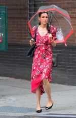 FAMKE JANSSEN Out in New York 06/17/2019