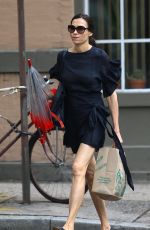 FAMKE JANSSEN Out in New York 06/21/2019