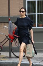 FAMKE JANSSEN Out in New York 06/21/2019