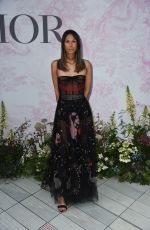 ISABELLA CHARLOTTA POPPIUS at V&A Summer Party in London 06/19/2019