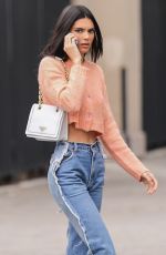 KENDALL JENNER in Denim Out in West Hollywood 06/25/2019
