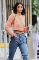 KENDALL JENNER in Denim Out in West Hollywood 06/25/2019