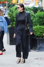 LILY ALDRIDGE Out for Lunch at Sant Ambroeus in New York 06/03/2019