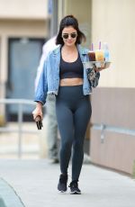 LUCY HALE Out and About in Studio City 06/21/2019
