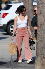 LUCY HALE Out Shopping in Los Angeles 06/13/2019