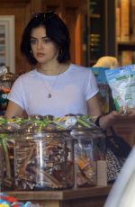 LUCY HALE Shopping at Maxwell Dog in Studio City 06/07/2019