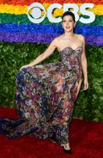 MARISA TOMEI at 2019 Tony Awards in New York 06/90/2019