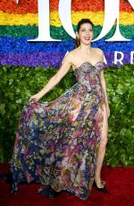 MARISA TOMEI at 2019 Tony Awards in New York 06/90/2019
