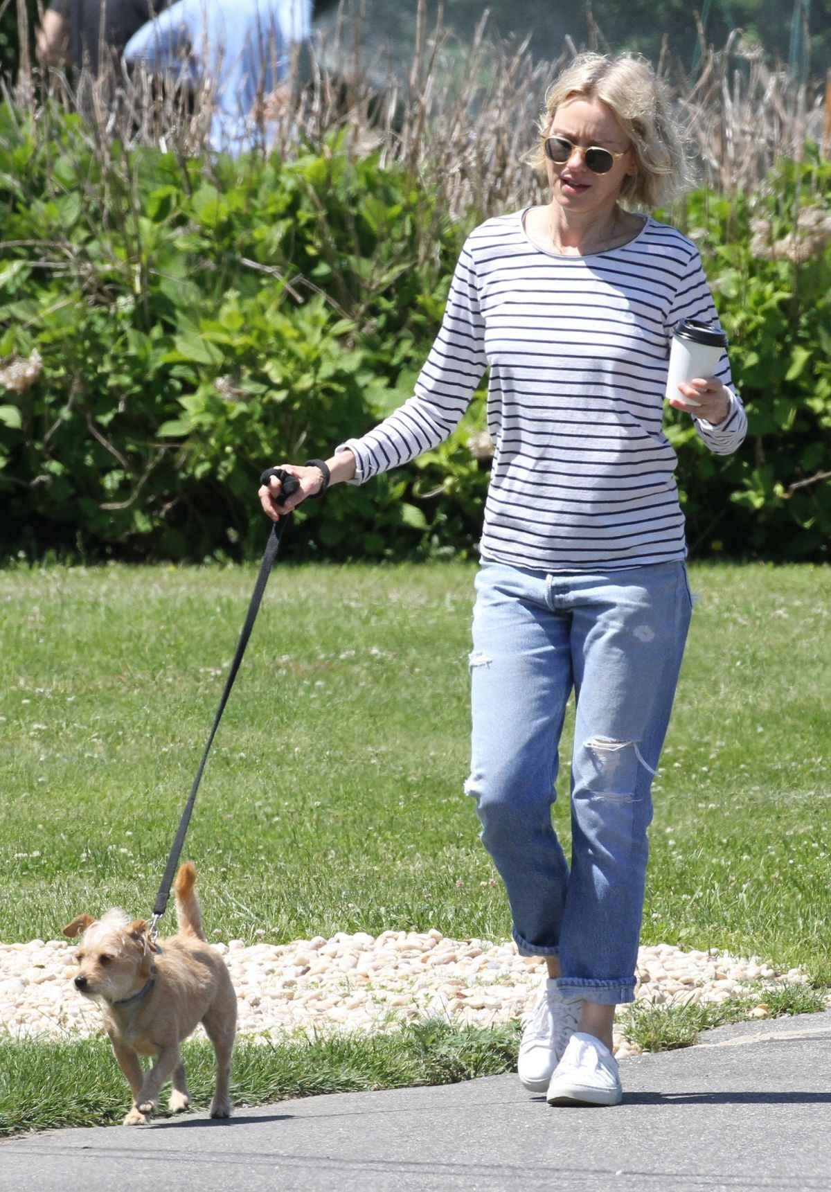 NAOMI WATTS Out with Her Dog in East Hampton 06/15/2019 – HawtCelebs
