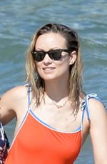 OLIVIA WILDE in Swimsuit on the Beach in Maui 06/18/2019