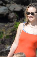 OLIVIA WILDE in Swimsuit on the Beach in Maui 06/18/2019