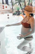 Pregnant DANIELLE MONET in Bikini at a Pool - Instagram Pictures, June 2019