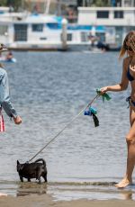 RACHEL MCCORD in Bikini with Her Dogs at a Beach in Los Angeles 06/29/2019