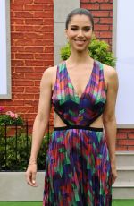 ROSELYN SANCHEZ at The Secret Lives of Pets 2 Premiere in Westwood 06/02/2019