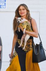 SOFIA VEGARA Out with Her Dog in Los Angeles 06/28/2019