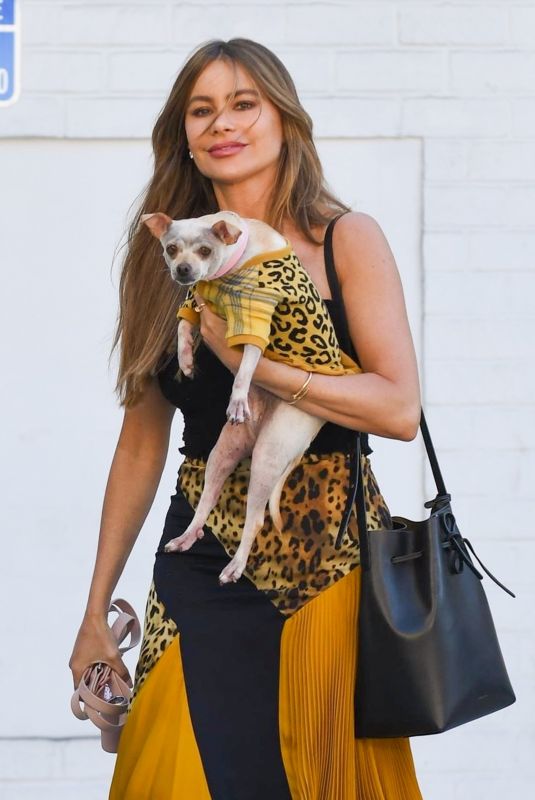 SOFIA VEGARA Out with Her Dog in Los Angeles 06/28/2019