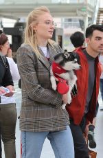 SOPHIE TURNER and Joe Jonas at Paris Gare De Lyon 06/25/2019