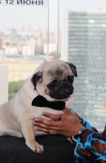 TESSA THOMPSON at Men in Black Photocall in Moscow 06/06/2019