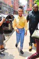 YARA SHAHIDI Out in New York 06/02/2019