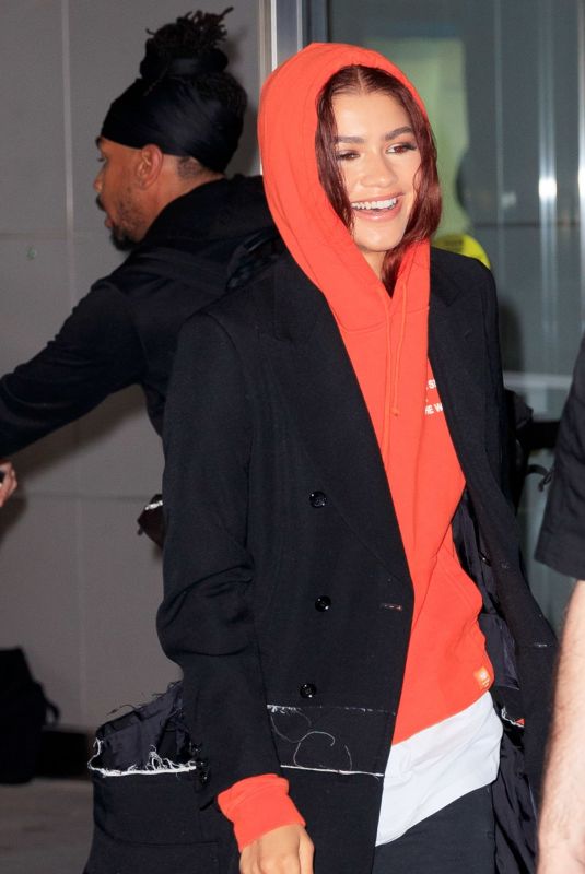 ZENDAYA COLEMAN at JFK Airport in New York 06/25/2019