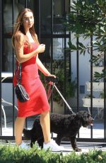 ALEXIS REN in a Red Dress Out with Her Dog in West Hollywood 07/27/2019