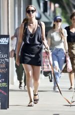 ANA DE ARMAS Out Shopping with Her Dog Elvis in Los Angeles 07/24/2019