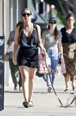 ANA DE ARMAS Out Shopping with Her Dog Elvis in Los Angeles 07/24/2019