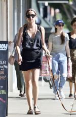 ANA DE ARMAS Out Shopping with Her Dog Elvis in Los Angeles 07/24/2019