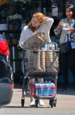 ARIEL WINTER Shopping at Gelson