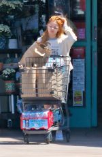 ARIEL WINTER Shopping at Gelson